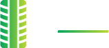 Tymech